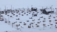Huskyfarm
