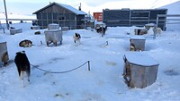 Huskyfarm