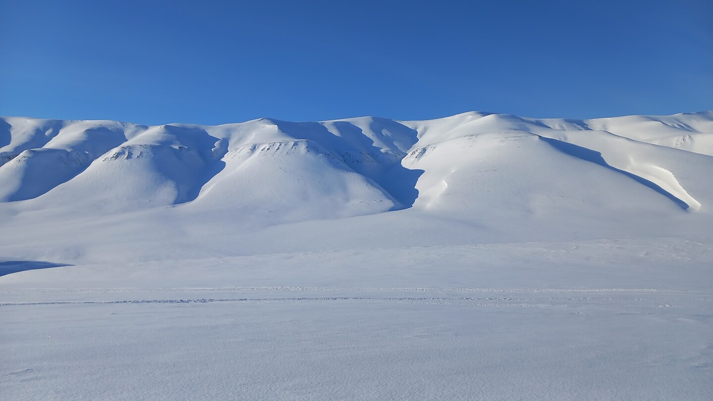 Sneeuwlandschap