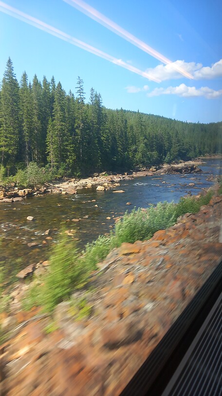 Onderweg van Trondheim naar Røros