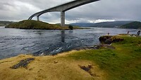 Saltstraumen