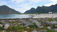Strandleven op de Lofoten