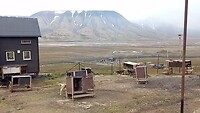 Arctic Husky Travellers