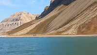 Billefjord