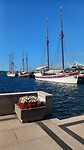 Haven Oslo