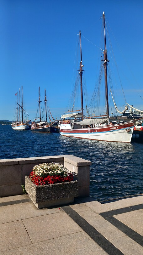 Haven Oslo