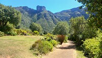 Kirstenbosch botanische tuinen