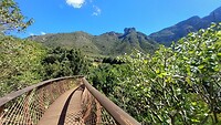 De Boomslang