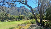 Kirstenbosch botanische tuinen