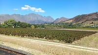 Landschap bij Franschhoek