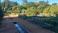Groentetuin Company Gardens