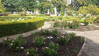 De rozentuin in de Company Gardens