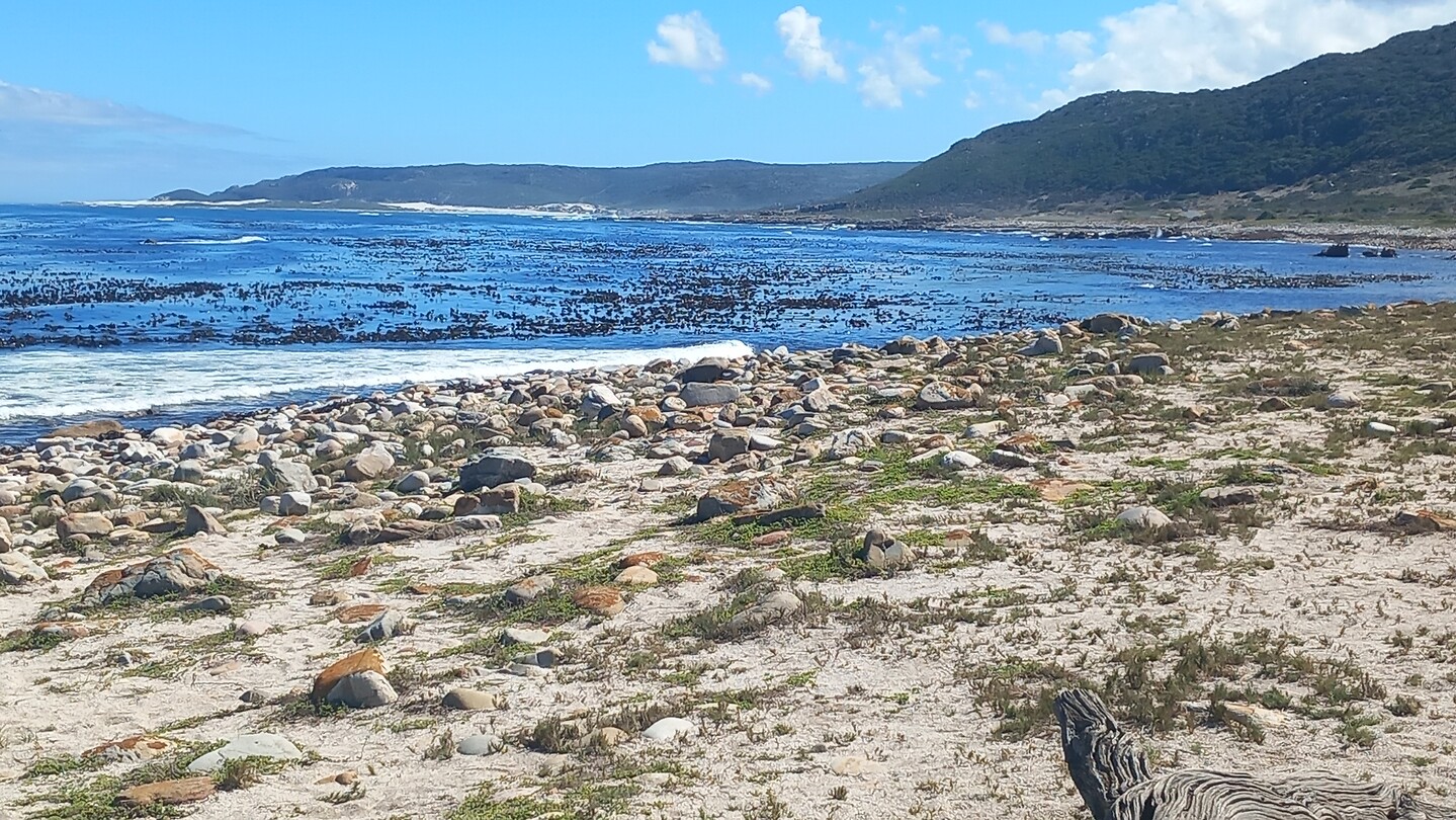 Kaap de Goede Hoop