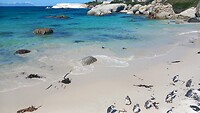 Boulders Bay, Simonstown
