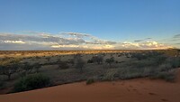 Kalahari tijdens zonsondergang