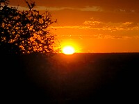 Zonsondergang in de Kalahari woestijn