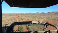 Sundowner Safari