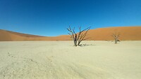 Dead Vlei