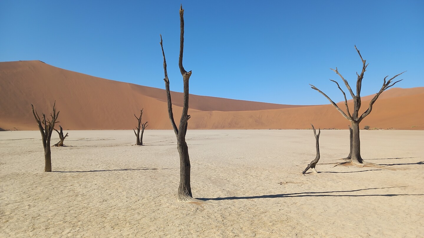 Dead Vlei