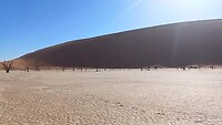Dead Vlei