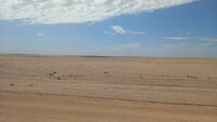 In het hart van de Namib woestijn