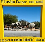 Tussen de olifanten bij Etosha Corner