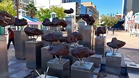 Meteorieten in het centrum van Windhoek