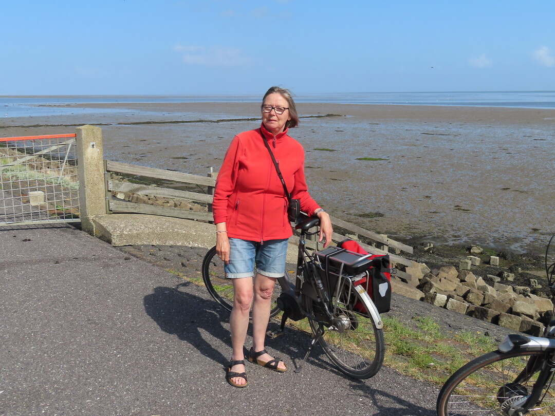 Willy op de waddendijk