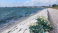 Gezicht op West-Terschelling
