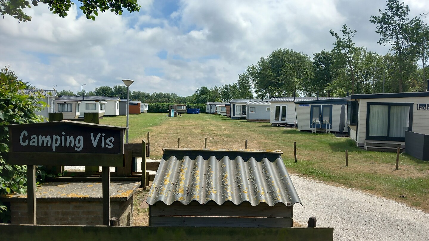 Camping Vis