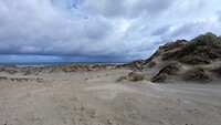 Strand bij de Boschplaat