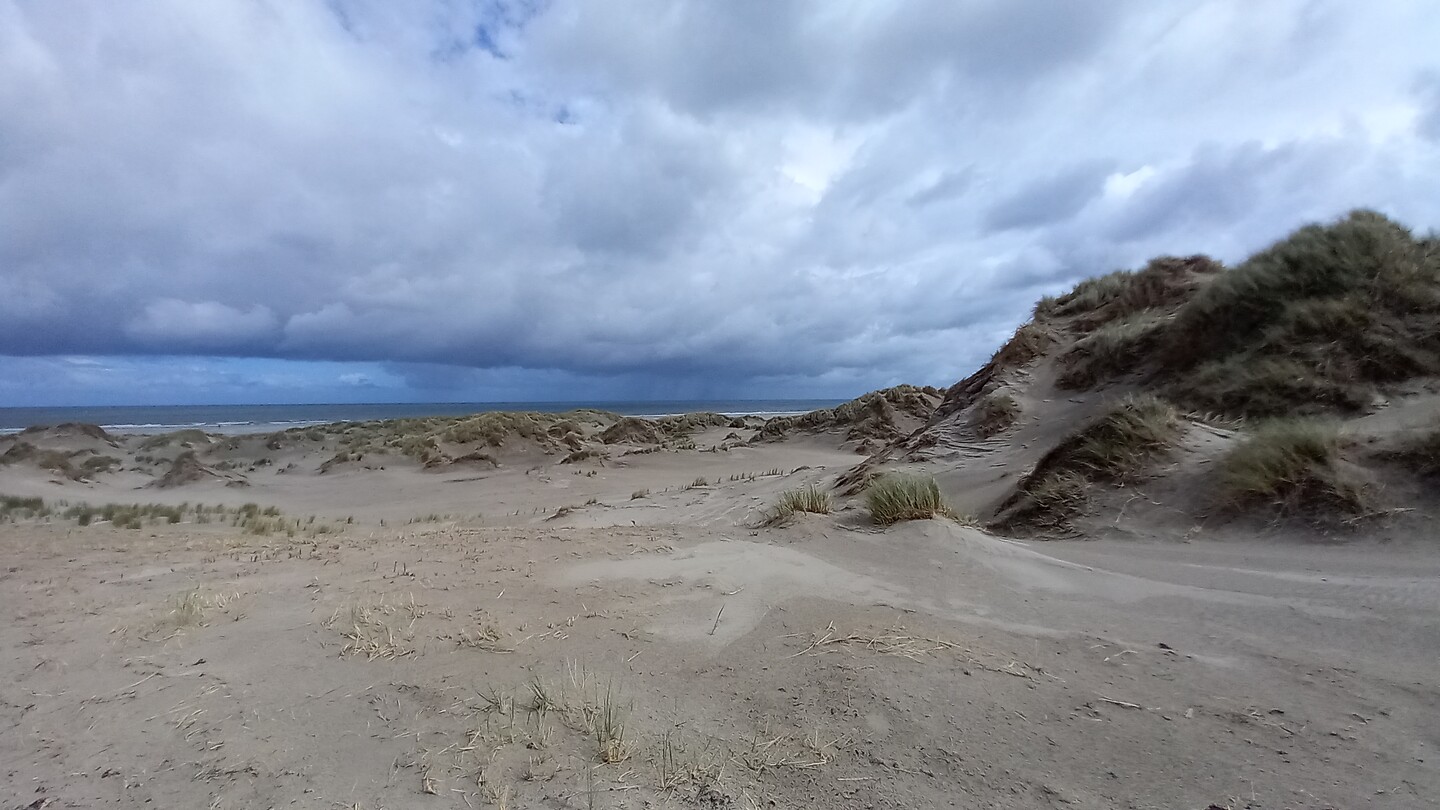 Strand bij de Boschplaat