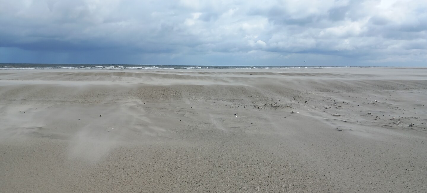 Strand bij paal 19