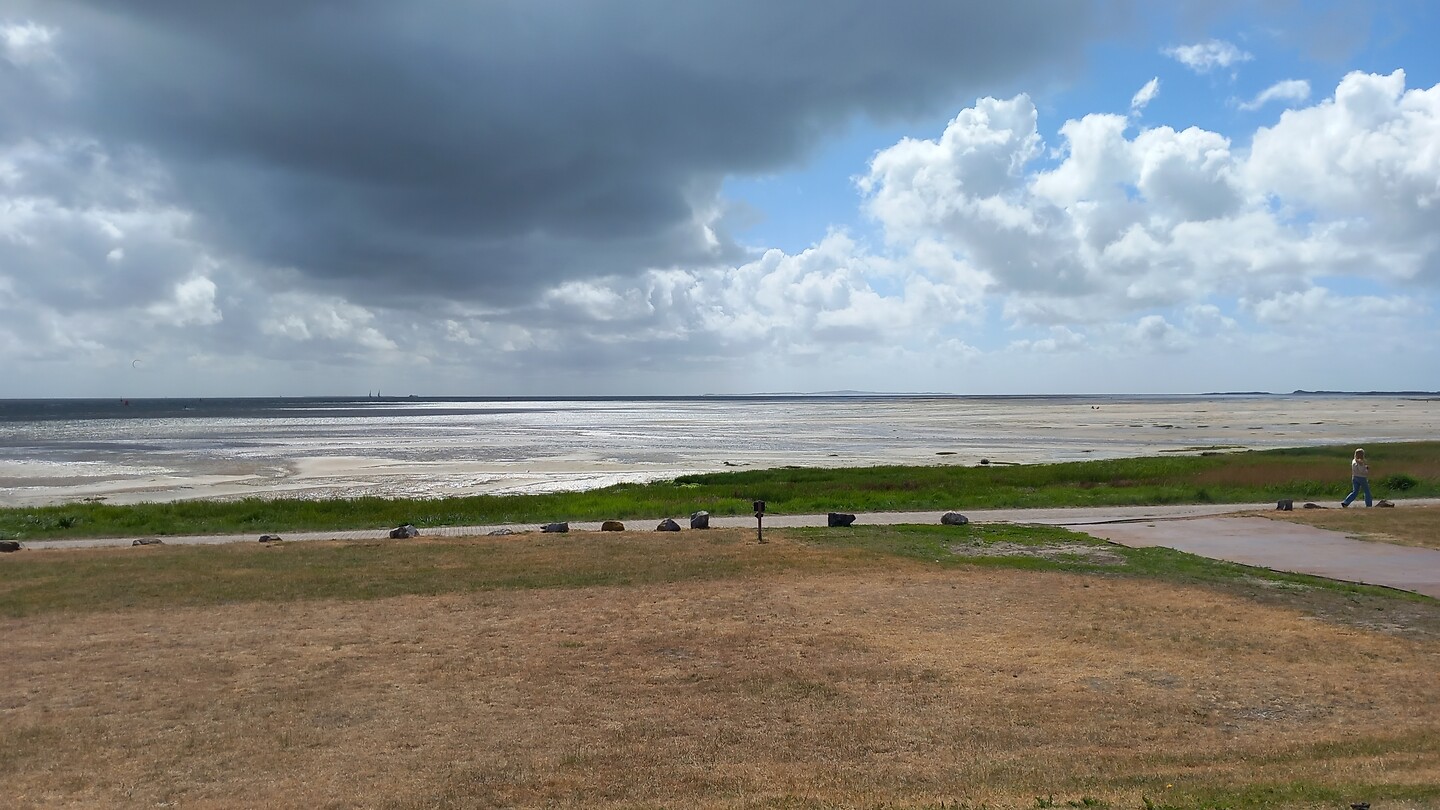 Uitzicht vanuit De Walvis