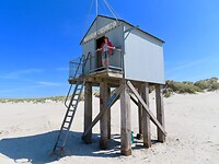Willy op het drenkelingenhuisje