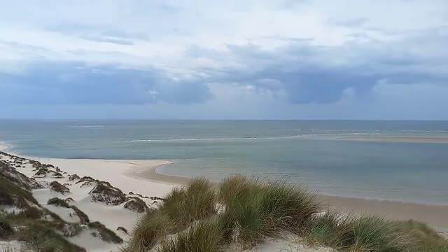 Duin bij paal 3