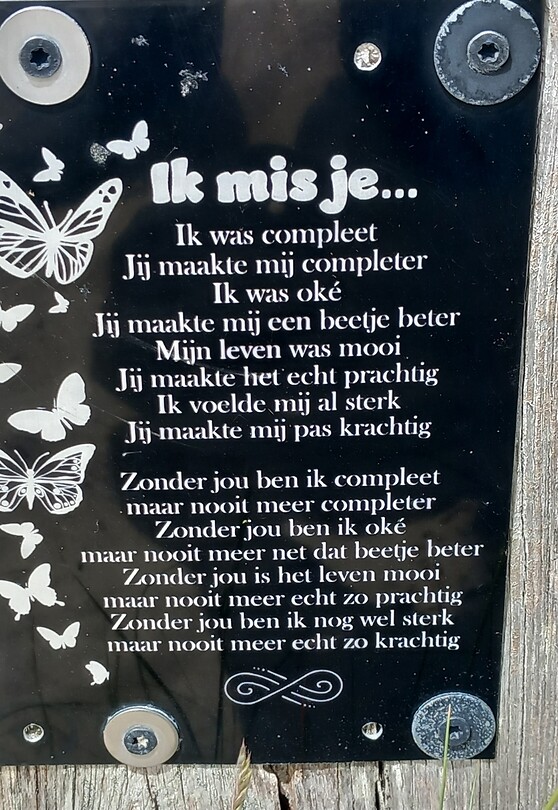 Ik mis je......