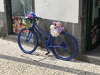 Flowerbike