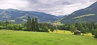 IMG-20250616-WA0001