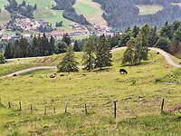 20250616_151633
