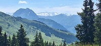 IMG-20250618-WA0006