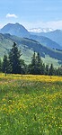 IMG-20250618-WA0008