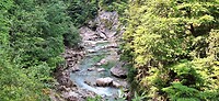 IMG-20250620-WA0004