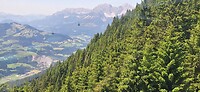 IMG-20250622-WA0005