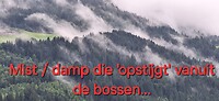 IMG-20250626-WA0019