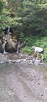 IMG-20250628-WA0016