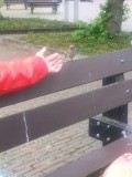 20150619_131202