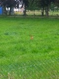 20150619_174055