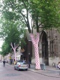 20150620_152820