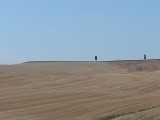 20150813_144921